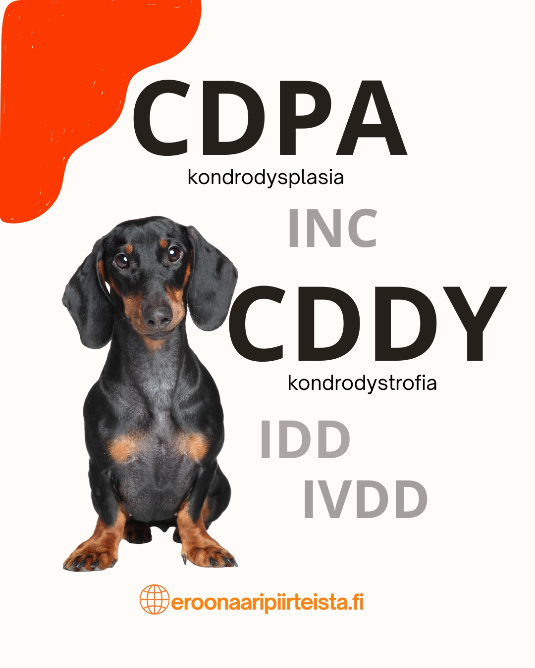 Infografiikka CDPA- ja CDDY-retrogeeneistä.